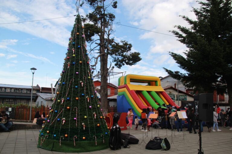 Hermosa actividad de encendido del árbol de navidad